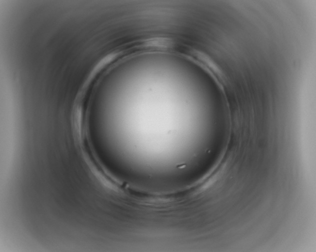 X0000113991123200910091333