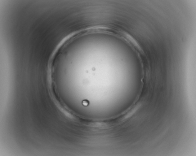 X0000113991124200910091333