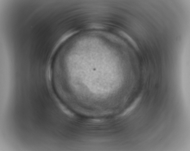 X0000113991125200910091333