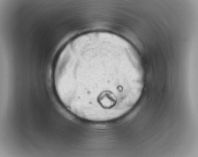 X0000113991126200910091333