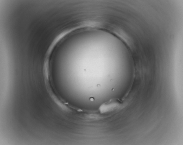 X0000113991128200910091333