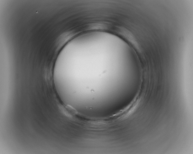 X0000113991129200910091333