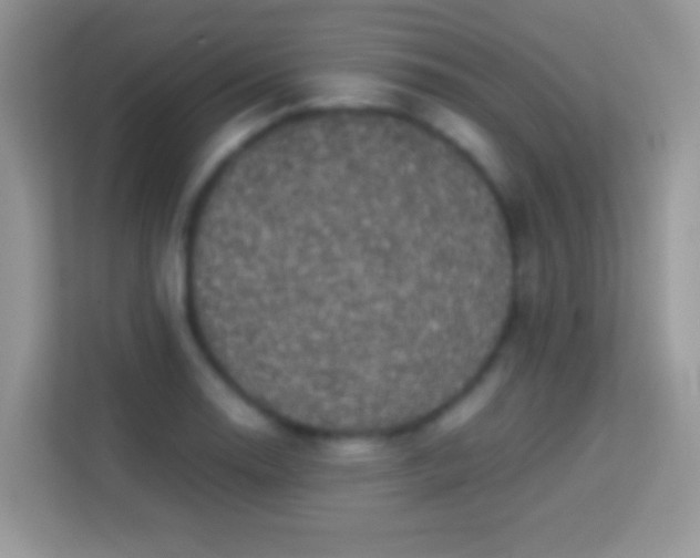 X0000113991130200910091333