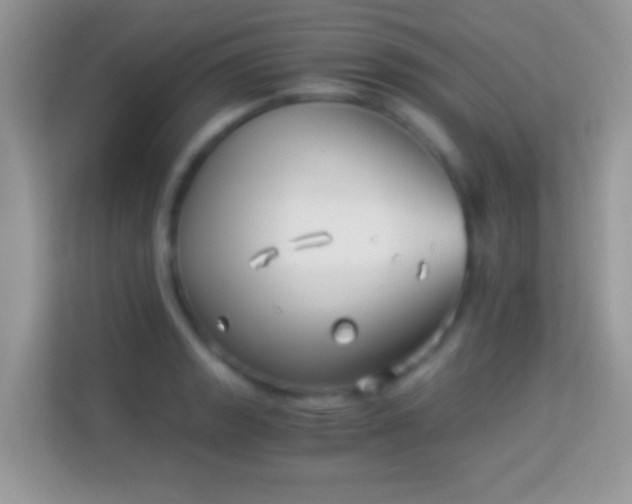 X0000113991133200910091333