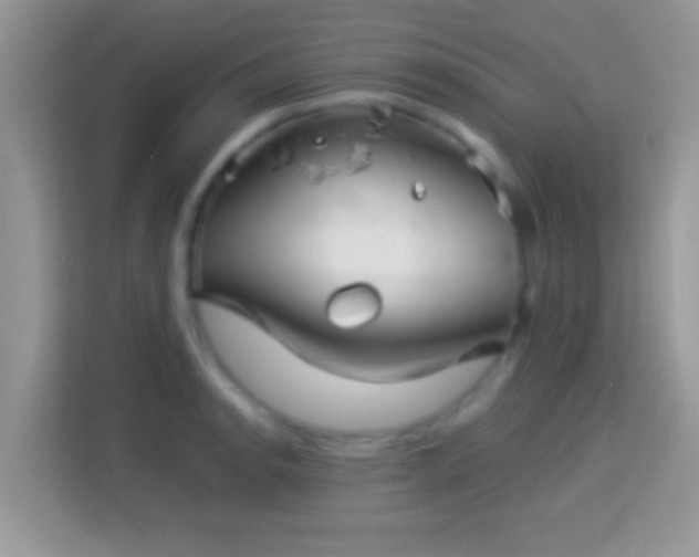 X0000113991134200910091333