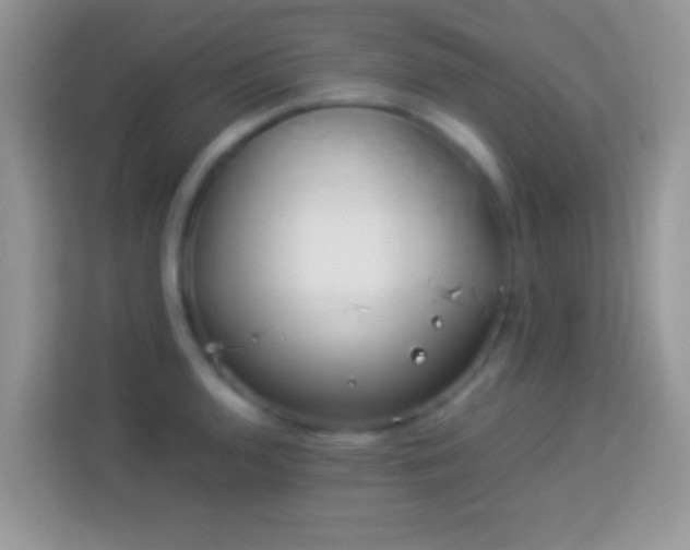 X0000113991136200910091333