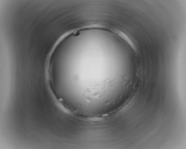 X0000113991140200910091333