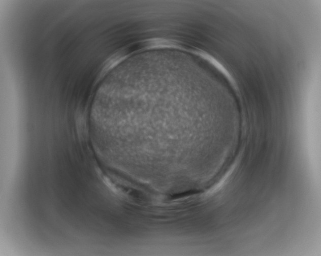 X0000113991145200910091333