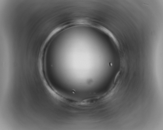 X0000113991147200910091333