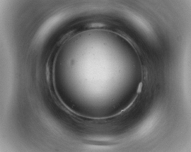 X0000113991151200910091333