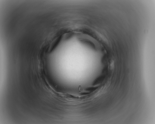 X0000113991156200910091332