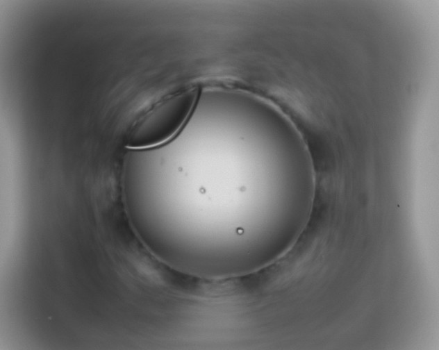 X0000113991159200910091332