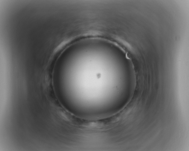 X0000113991160200910091332