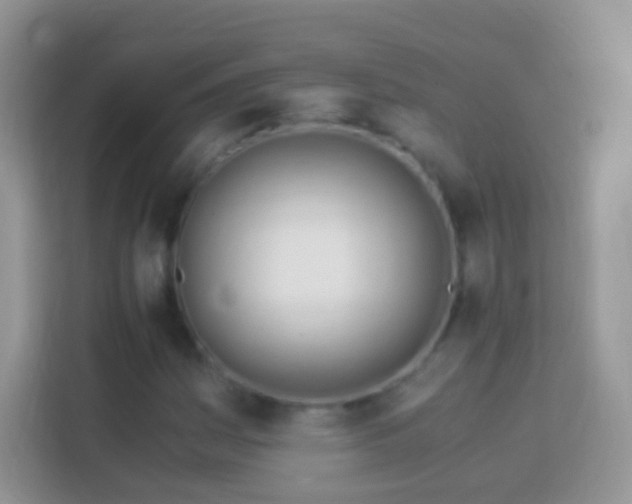 X0000113991161200910091332