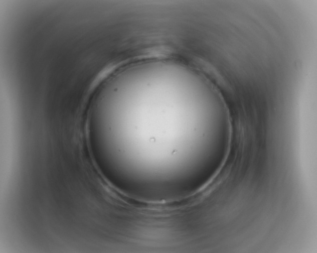 X0000113991168200910091332