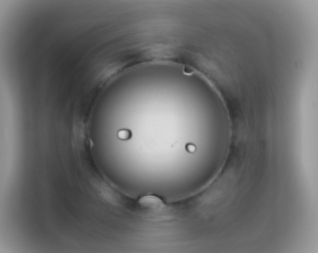 X0000113991169200910091332