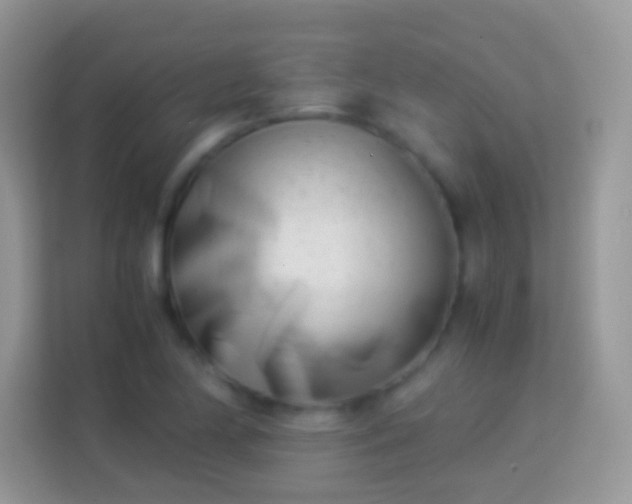 X0000113991174200910091332