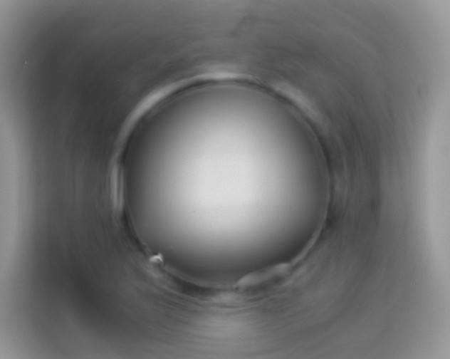 X0000113991175200910091332