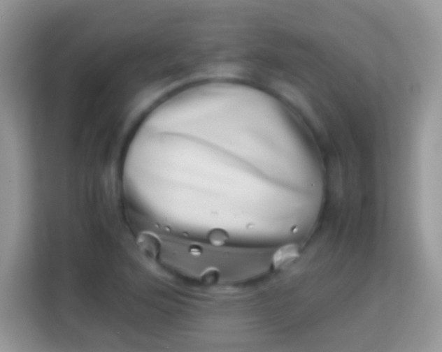 X0000113991176200910091332