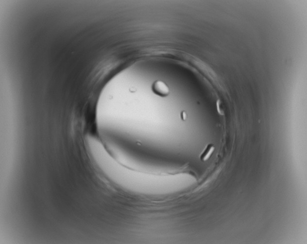 X0000113991177200910091332