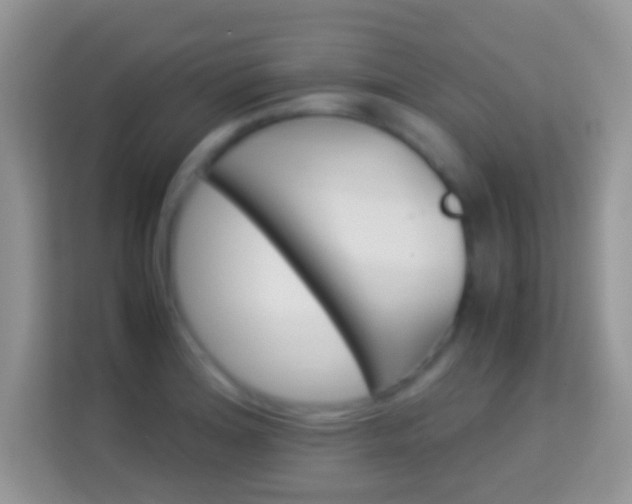 X0000113991180200910091332