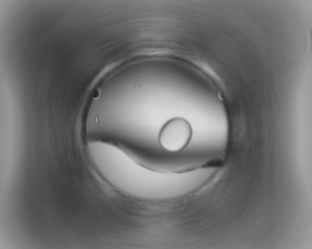 X0000113991181200910091332