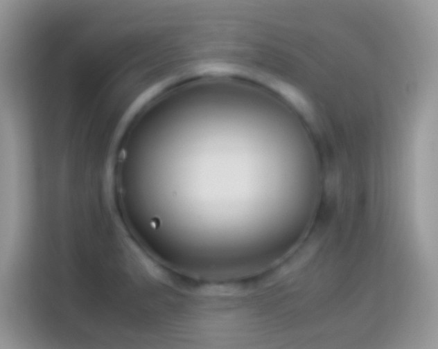 X0000113991183200910091332