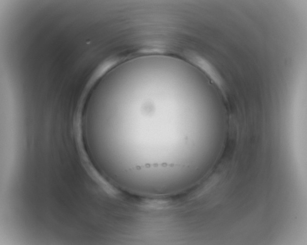 X0000113991187200910091332