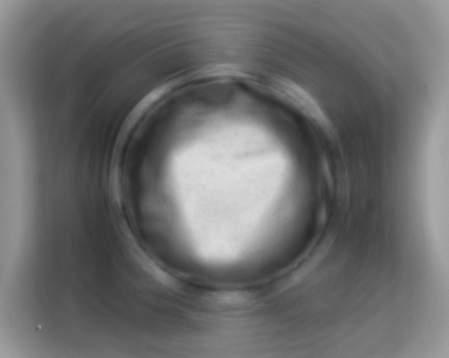 X0000113991188200910091332