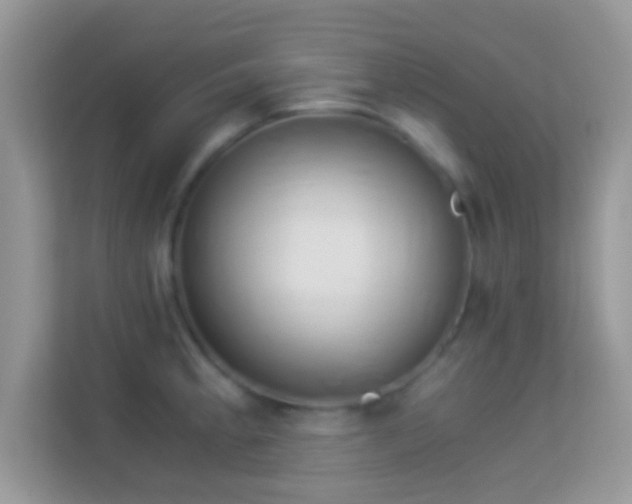 X0000113991189200910091332