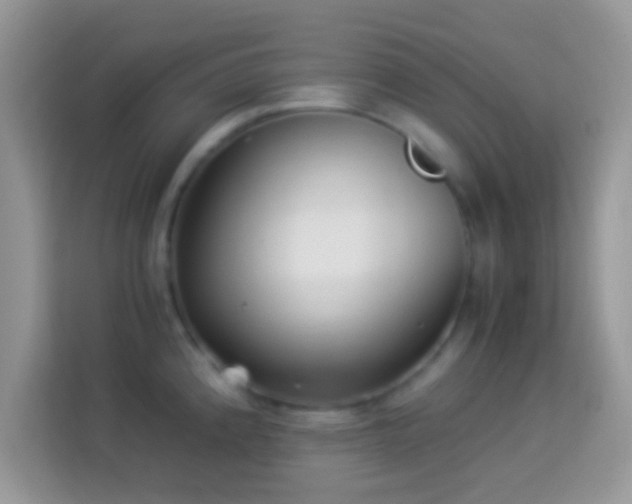 X0000113991192200910091332