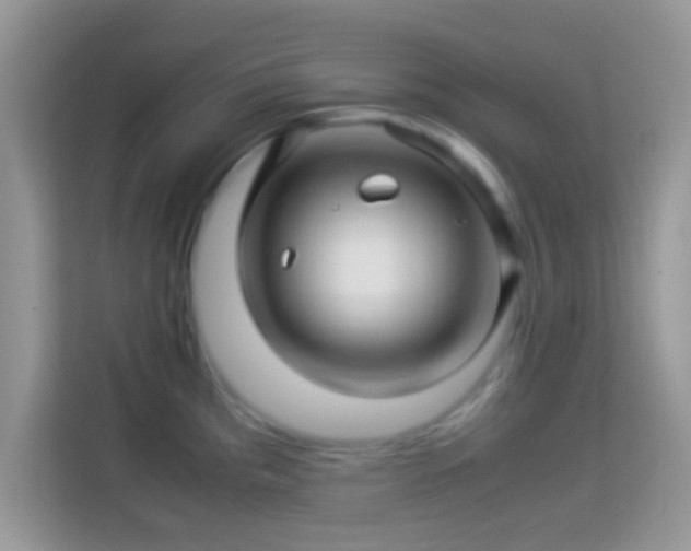 X0000113991193200910091332