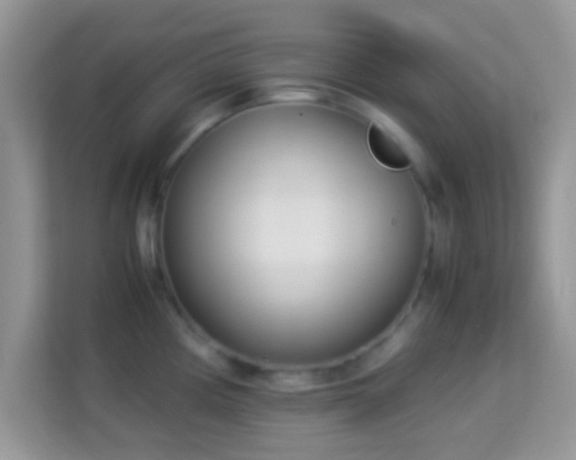 X0000113991194200910091332