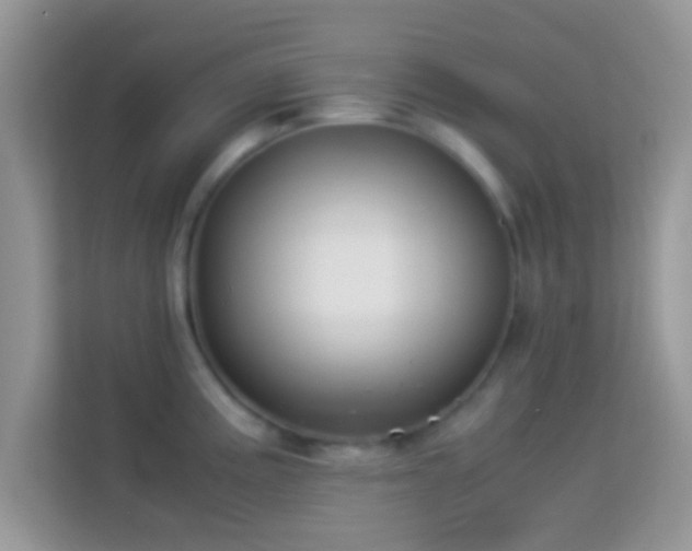 X0000113991195200910091332