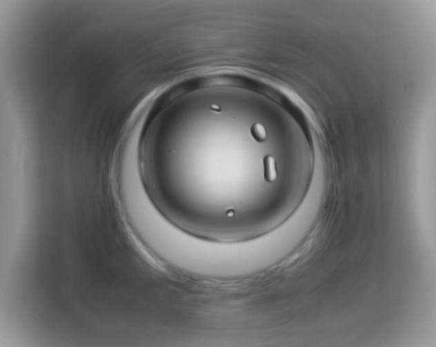 X0000113991197200910091332