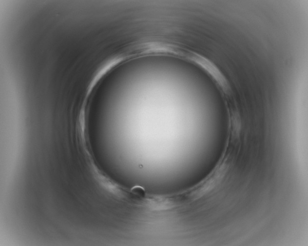 X0000113991198200910091332