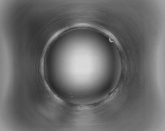 X0000113991199200910091332