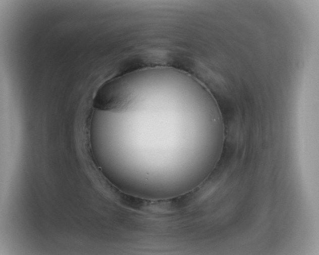 X0000113991201200910091331