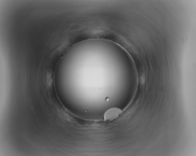 X0000113991204200910091331