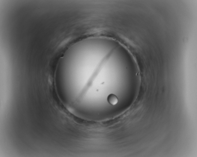 X0000113991206200910091331