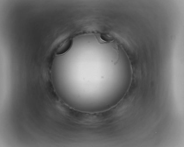 X0000113991207200910091331