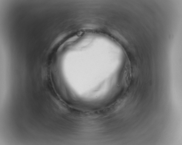 X0000113991208200910091331