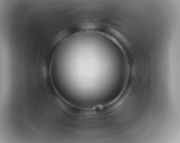 X0000113991209200910091331