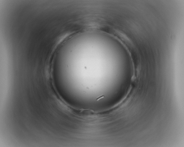 X0000113991212200910091331