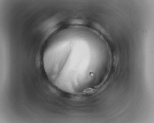 X0000113991213200910091331