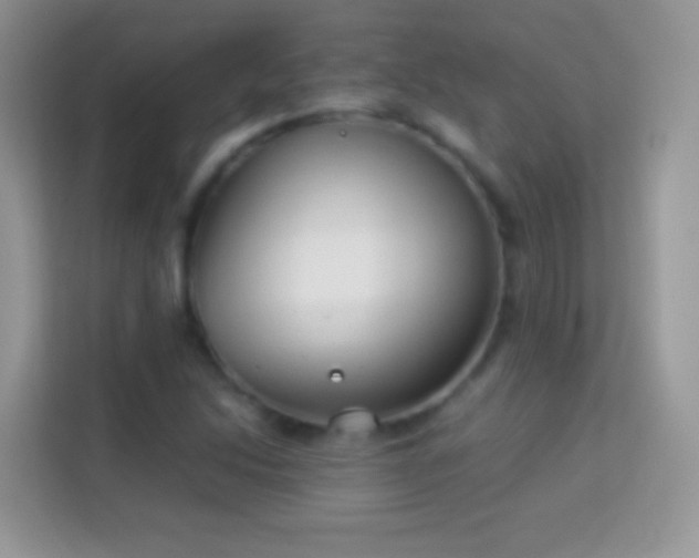 X0000113991214200910091331