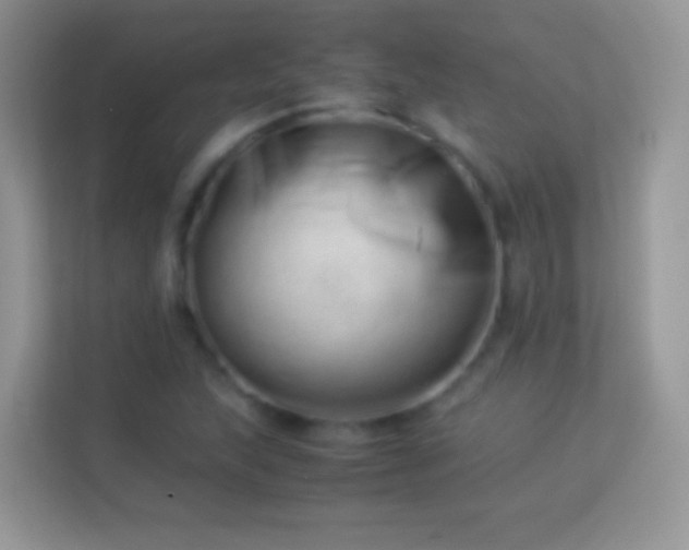 X0000113991215200910091331