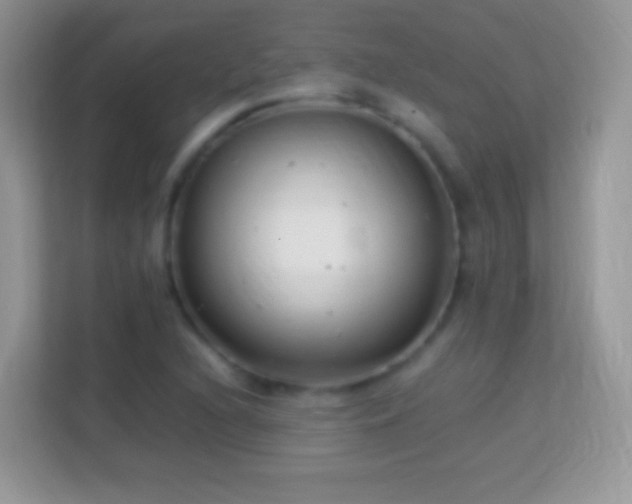 X0000113991216200910091331