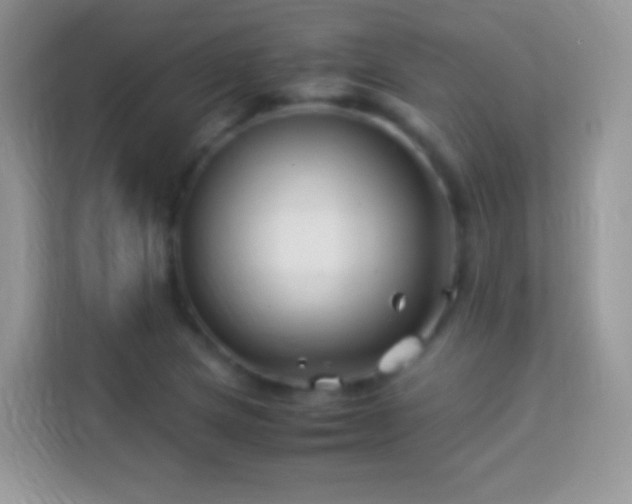 X0000113991217200910091331