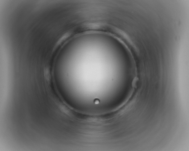 X0000113991218200910091331